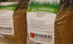 all purpose grass seed