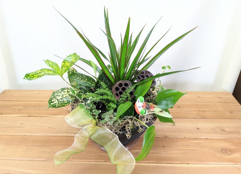 indoor plant gift dish garden with decorations