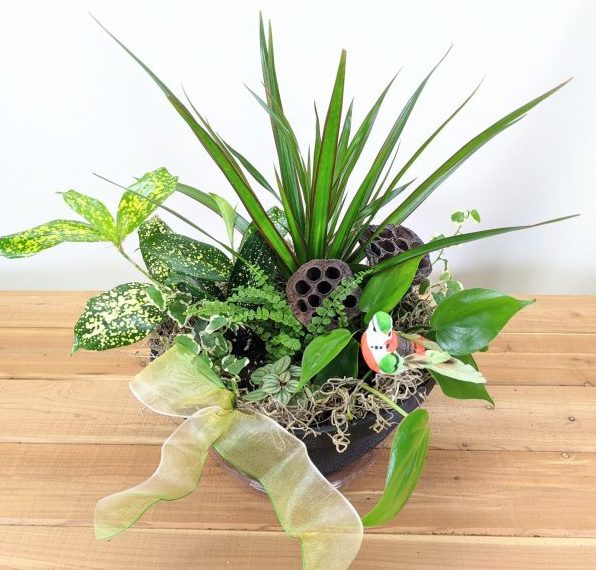 indoor plant gift dish garden with decorations