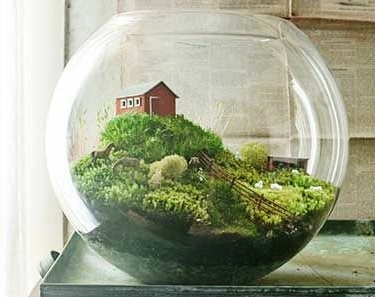 Terrarium with a house in it