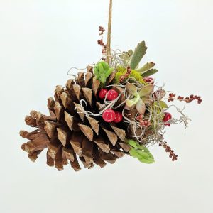 succulent pine cone make and take
