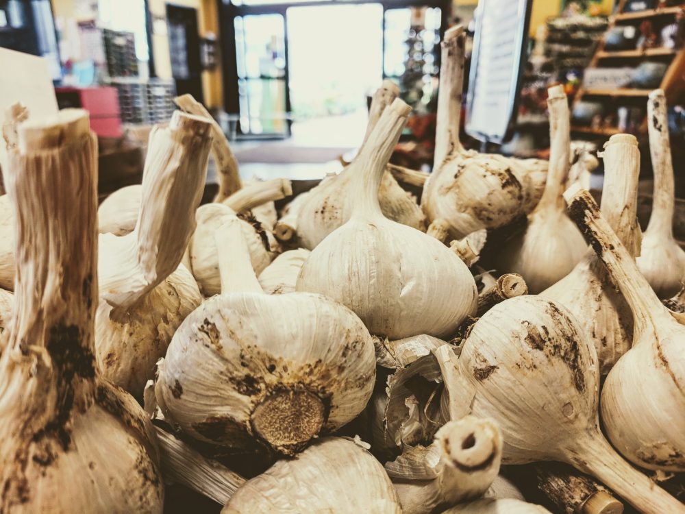 garlic bulbs in a pile