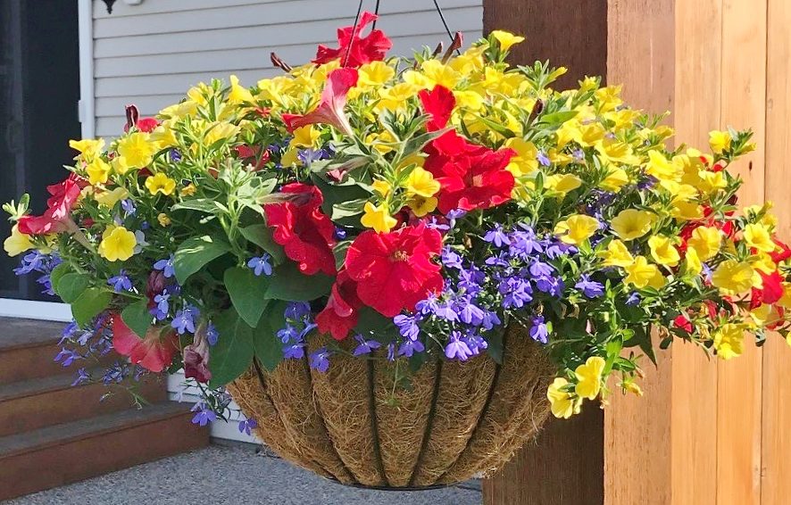 2018 Best of Bunch Spring Planting Party Winner