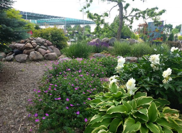 Perennial Parade in the Display Garden