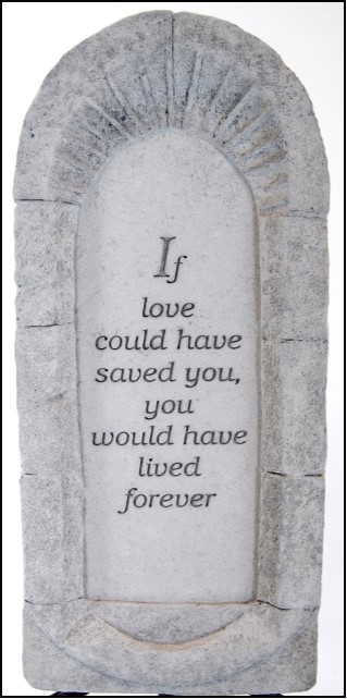 7"x15" plaque-if love could have saved you