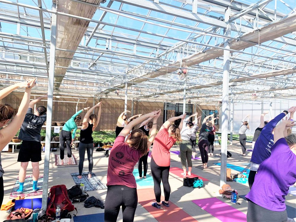 people practicing yoga in the greenhouse