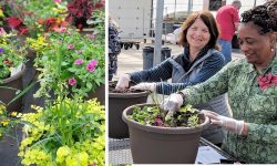 Ladies planting their spring containers in drummmers greenhouse and containers growing filled with flowers