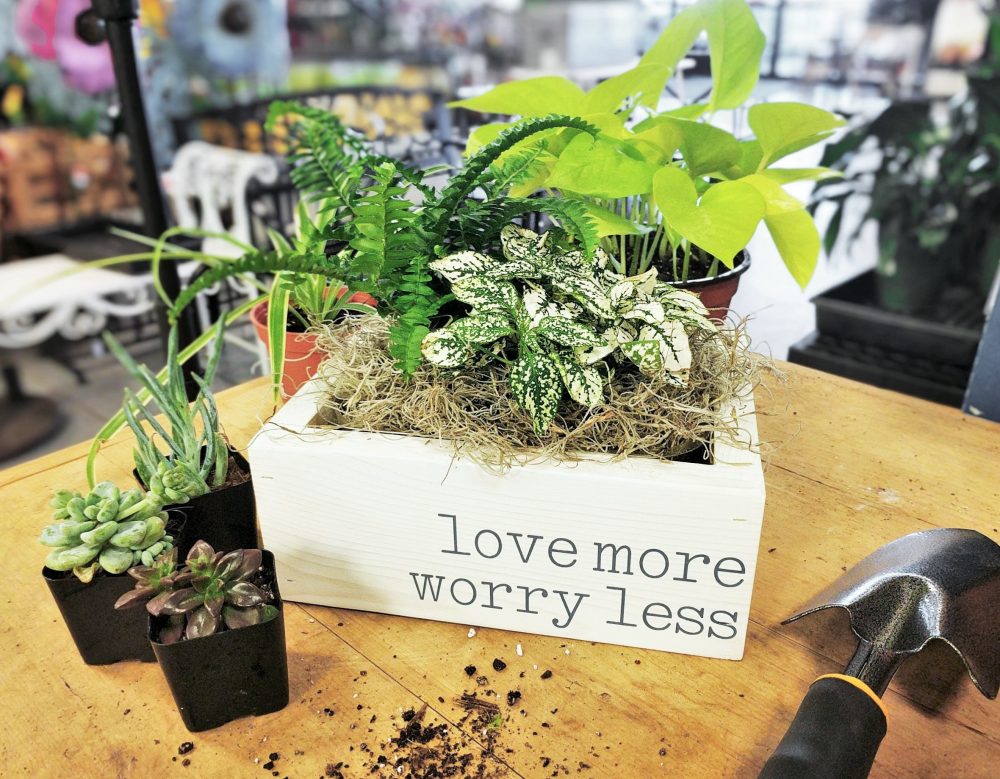wood planter box with "love more worry less" and houseplants planted inside