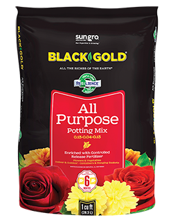 black gold all purpose potting soil