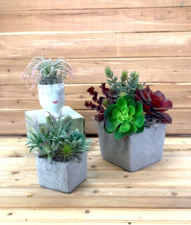artificial succulent containers