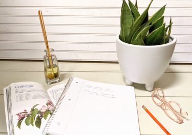 sanseveria on a desk with book, paper, and glasses