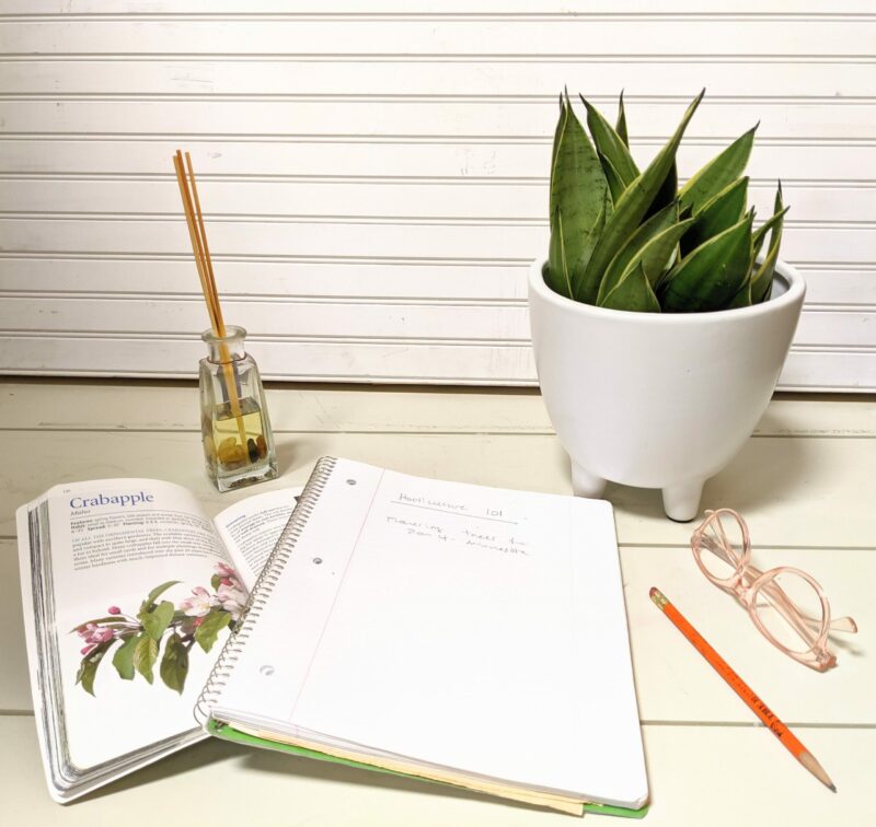 sanseveria on a desk with book, paper, and glasses