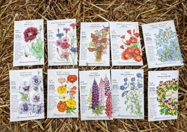 botanical interests flower seed packets