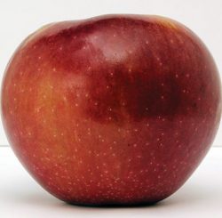 hazen apple image