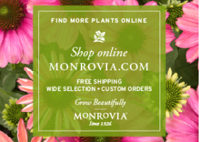 monrovia.com shop plants image
