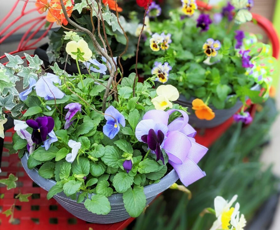decorated pansy bowls