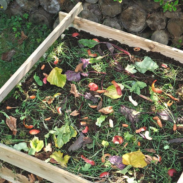 compost bin full of decompostables