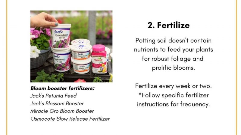 Fertilize to feed plants nutrients.