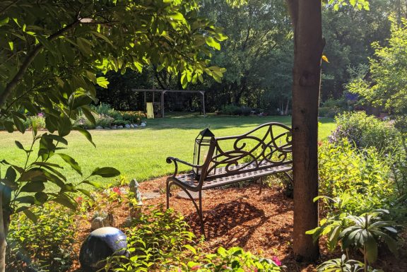 bench sitting in a garden looking over the yard