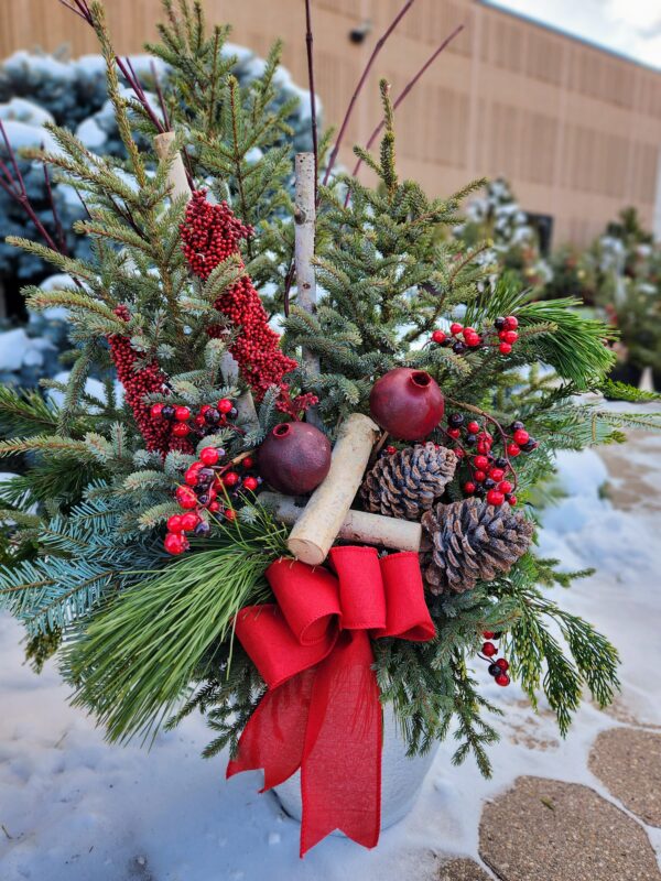 Red and brown spruce top decorations in ontainer