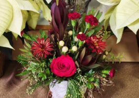 christmas floral arrangement with rose, evergreens, and protea