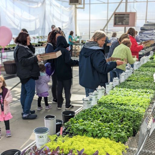 Customers browsing plant plugs to plant for spring planting parties.