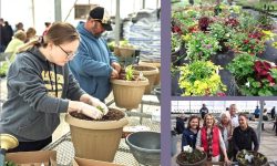 People planting small plant plugs in containers and a group of people smiling after they planted their containers.