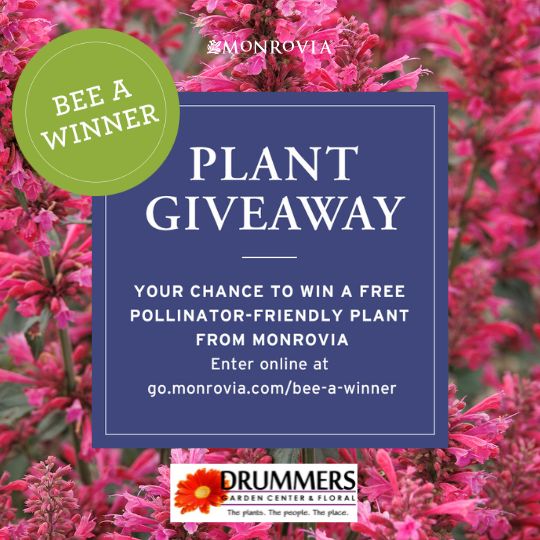 Monrovia plant giveaway info with drummers logo