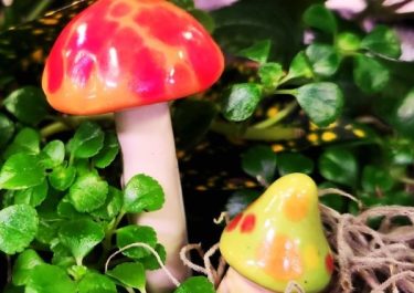 miniature garden and terrarium garden accessories like little ceramic mushrooms