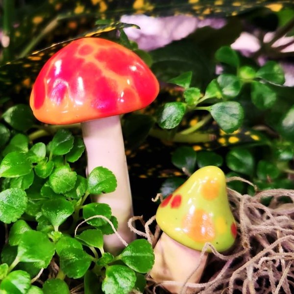 miniature garden and terrarium garden accessories like little ceramic mushrooms