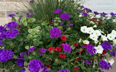 Vacation needed! Tips to help your outdoor plants while you’re away.