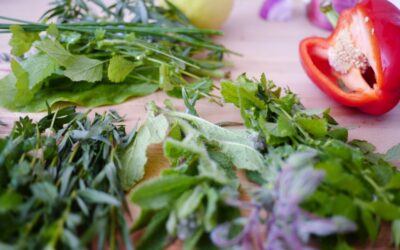 What to do with all those Herbs!