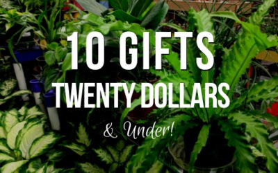 10 Gifts under $20