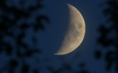 Gardening by the Moon – A Fascinating Lore