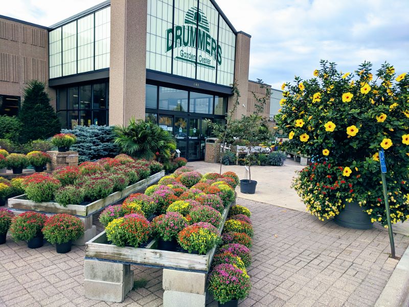 Drummers Garden Center & Floral